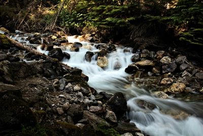 Scenic view of waterfall in forest