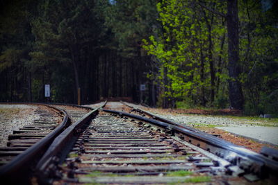 Surface level of railway tracks along trees