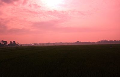 Scenic view of field against sky during sunset