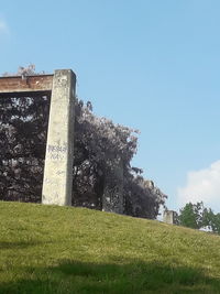 Low angle view of castle on field against sky