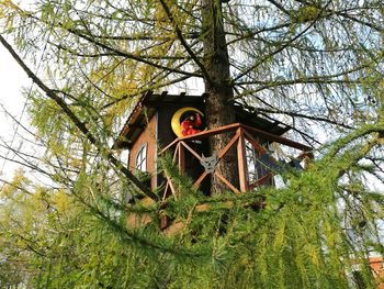 Low angle view of birdhouse on tree against sky