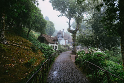 Traditional santana houses in queimadas forest park, madeira, portugal