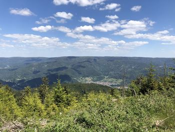 Scenic view of landscape against sky