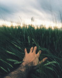 Close-up of hand on grass against sky