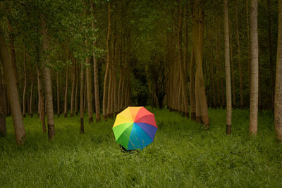 Multi colored umbrella on field