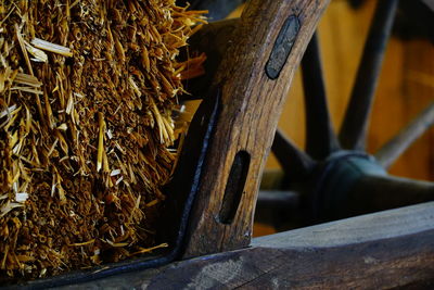 Close-up of firewood