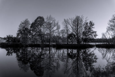 Reflection of trees in lake against sky