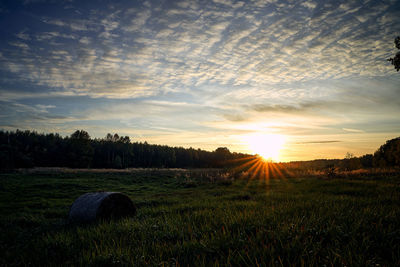 Scenic view of field against sky during sunset