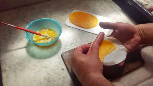 High angle view of hand holding fruits