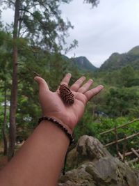 Midsection of person hand on tree against sky