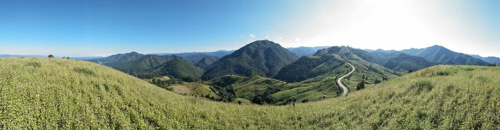 Panoramic view of agricultural landscape against clear sky