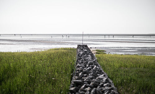 Scenic view of sea against clear sky