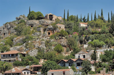 Plants growing in old town against sky