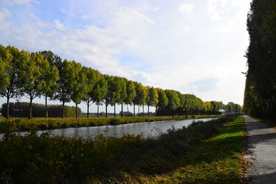 Scenic view of river by trees against sky