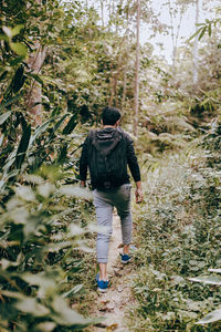 Rear view of man walking in forest