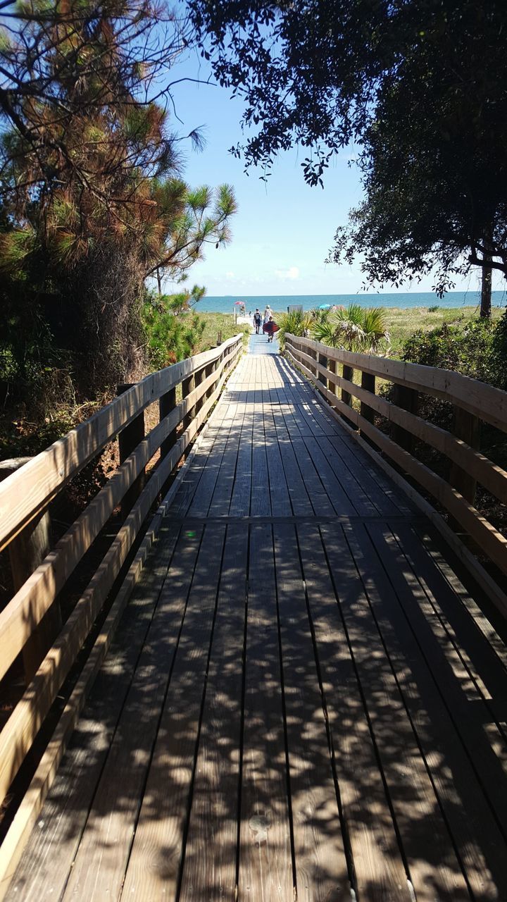 SURFACE LEVEL VIEW OF FOOTBRIDGE ALONG TREES