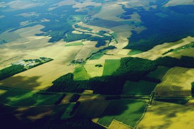 Aerial view of agricultural field