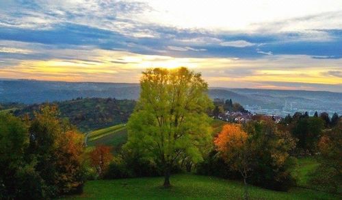 Scenic view of landscape against sky during sunset