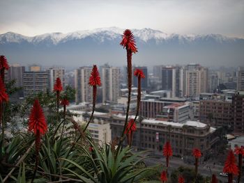 Scenic view of red and buildings against sky