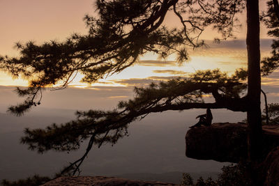 Silhouette trees by lake against sky during sunset