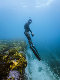 Man swimming in sea