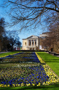 View of flowering plants in front of building