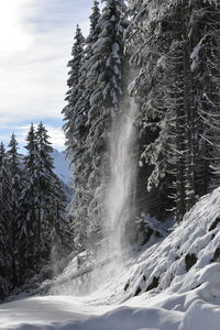 Snow covered land and trees against sky