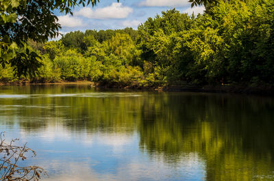 Scenic view of lake by trees against sky