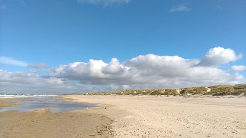 Scenic view of beach