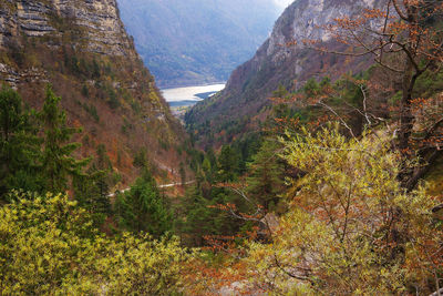 Scenic view of mountains in forest