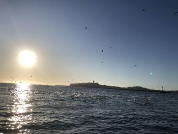 Birds flying over sea against sky