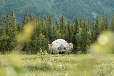 Dome on field