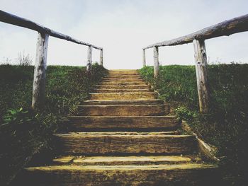 Low angle view of steps amidst trees against sky