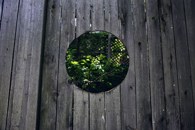 Close-up of wooden door