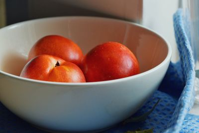 Close-up of food in bowl