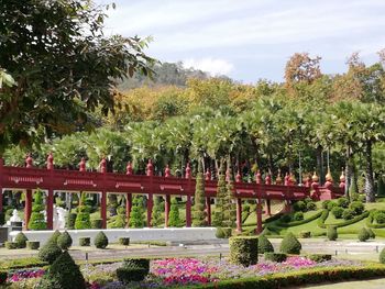 View of cemetery against trees