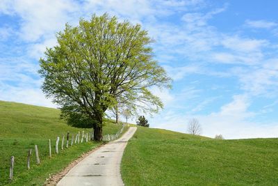 Road passing through field