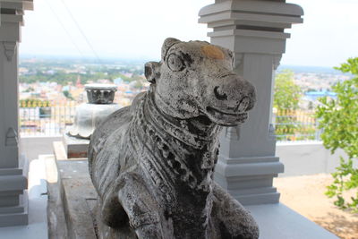 Close-up of statue in city