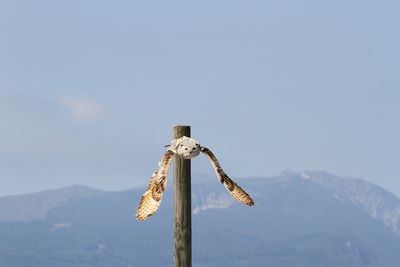 Close-up of wooden post against mountain against sky