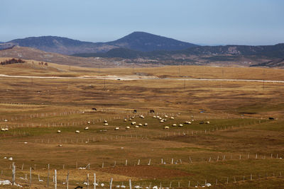 Scenic view of landscape and mountains against sky