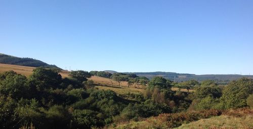 Scenic view of agricultural field against clear blue sky