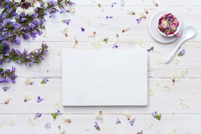 High angle view of purple and white flowers on table