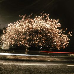 Light trails on road at night