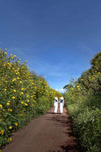 Rear view of woman on road amidst trees against blue sky