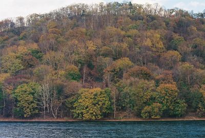 Scenic view of lake by trees against sky