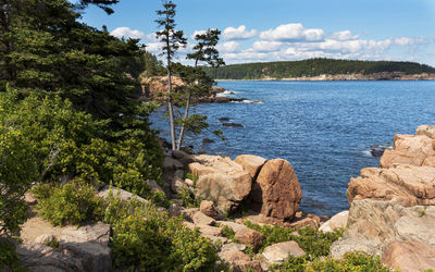 View of the water and cadillac mountain taken from in the woods at the bottom of cadillac mountain.