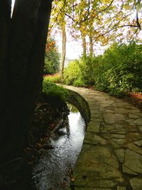 Scenic view of tree during autumn