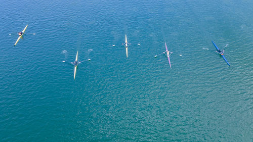 High angle view of bird flying over sea