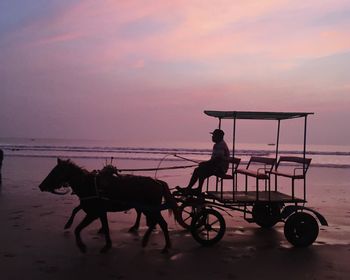 Silhouette horse riding motorcycle on street against sky during sunset