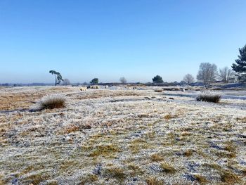 Scenic view of snowy field against clear sky